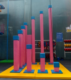 sky stepper2